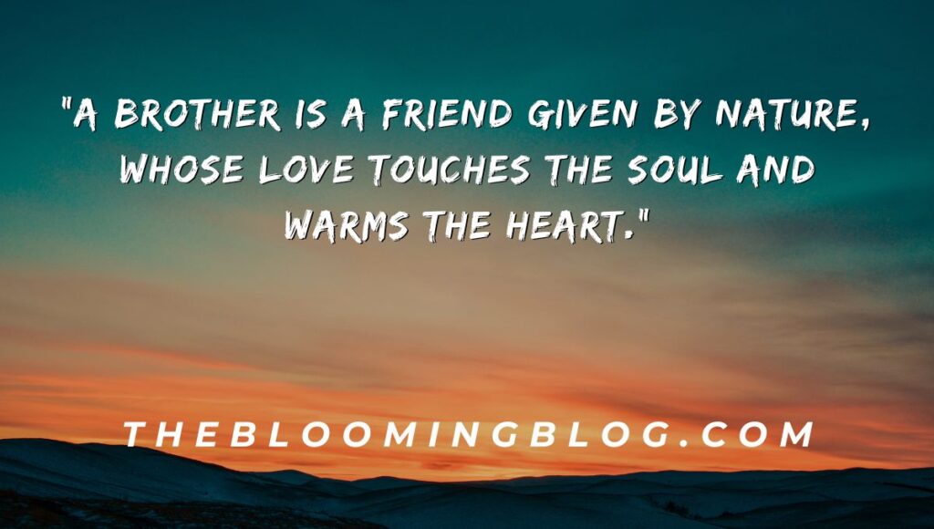 Heart Touching Brother Quotes